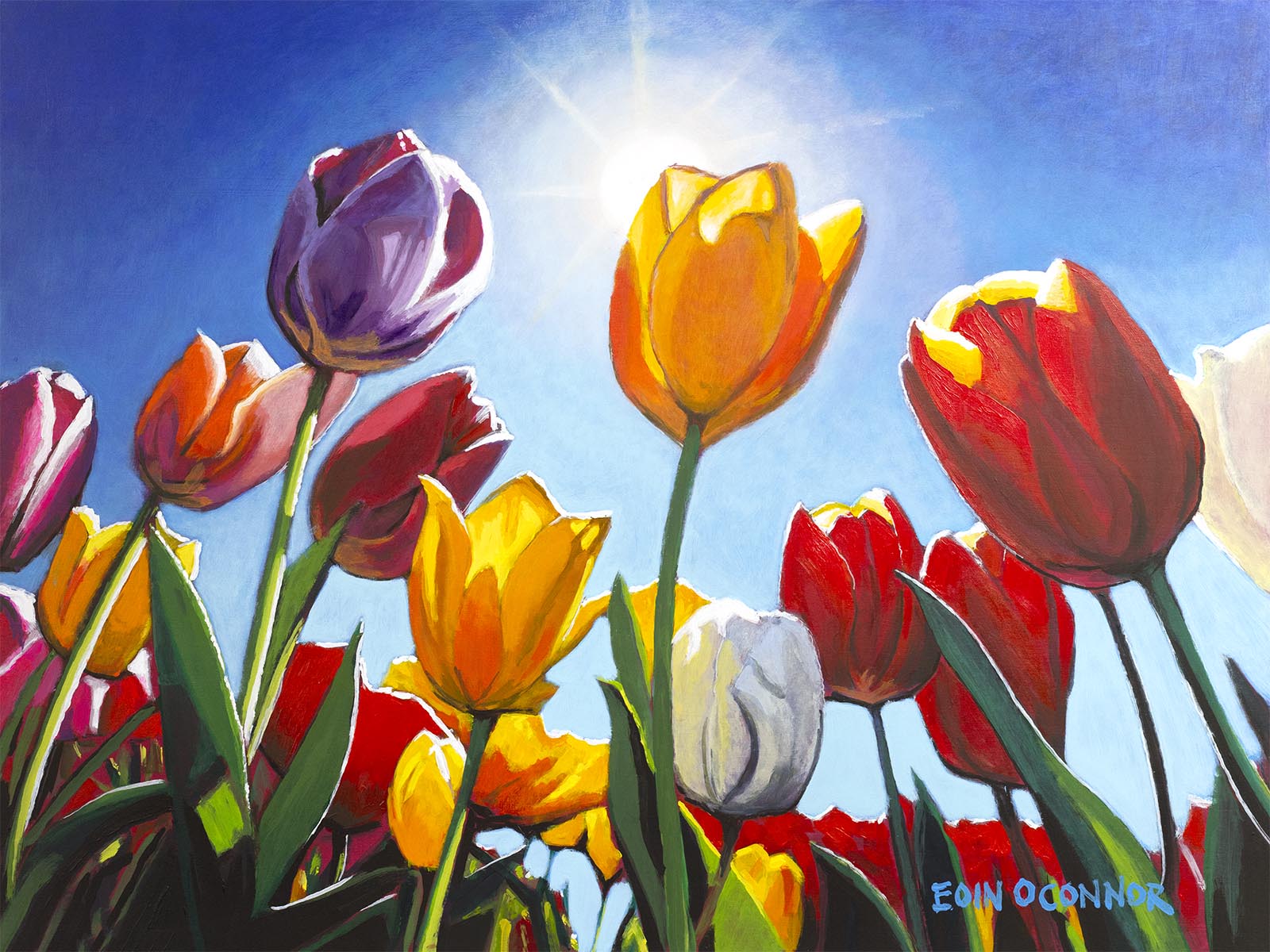 Reach for the sun (Secret Garden collection)